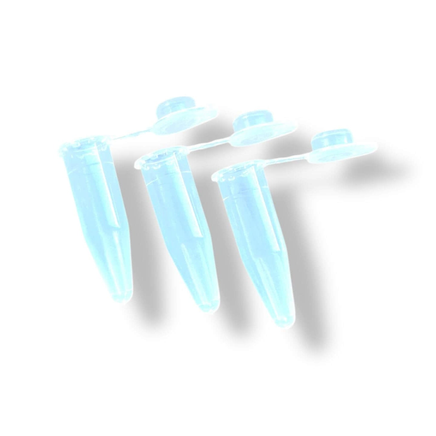 Drie transparante 1,5 ml snap-cap centrifugebuisjes van plastic met open klepjes, geplaatst op een witte achtergrond met schaduw.