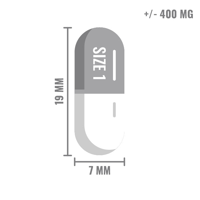 Maat 1 Transparant l Vega Capsules