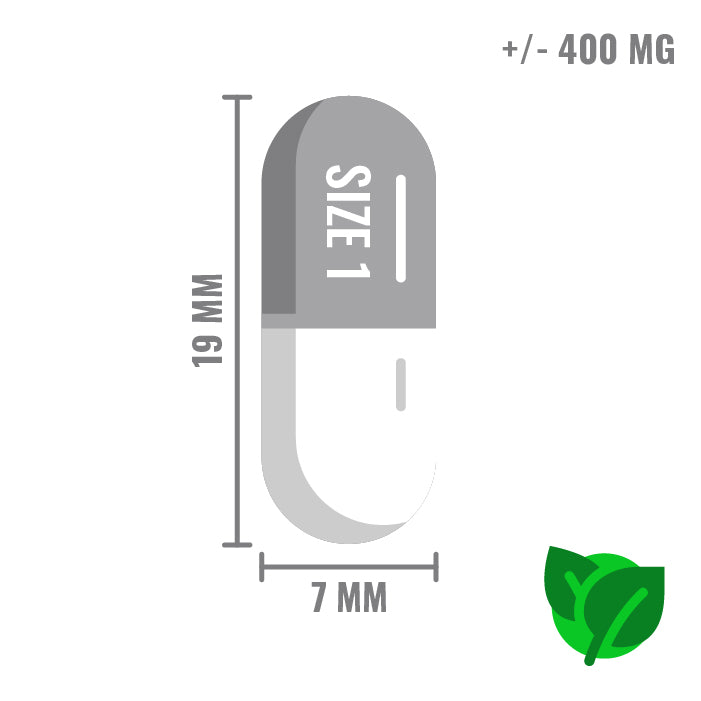 Maat 1 Transparant l Vega Capsules