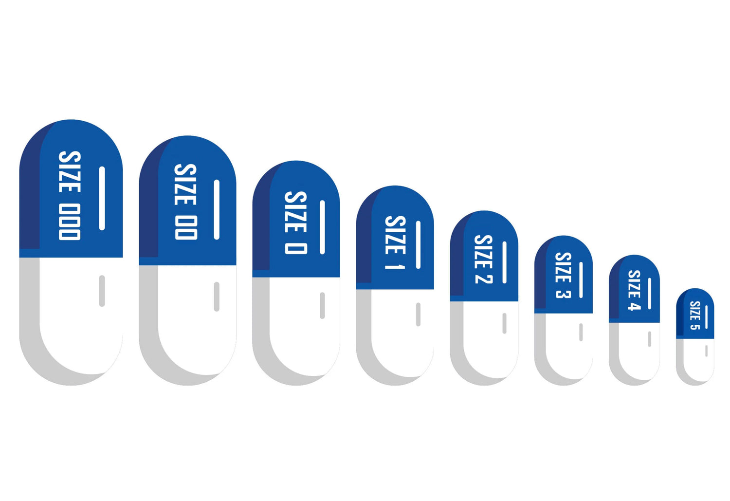 Lege capsules in alle maten 000 t/m 5 – gelatine en HPMC (vegan)