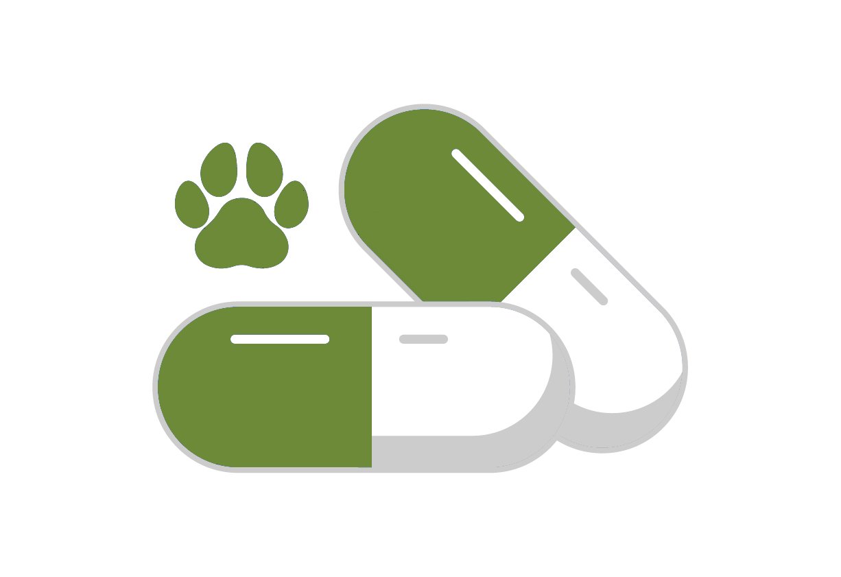 Lege capsules voor dieren – geschikt voor vee en huisdieren, eenvoudig toe te dienen met supplementen of medicatie