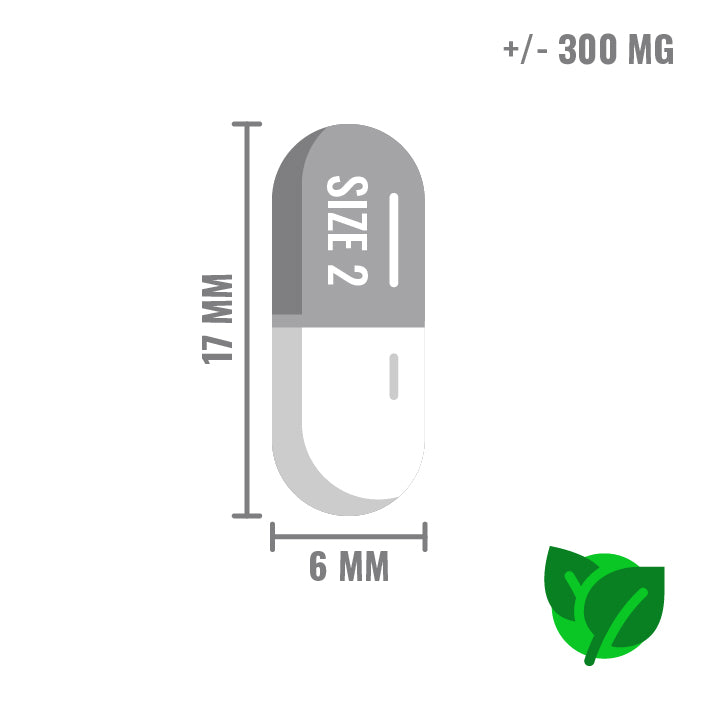 Vegetarische Capsule Maat 2 Transparant